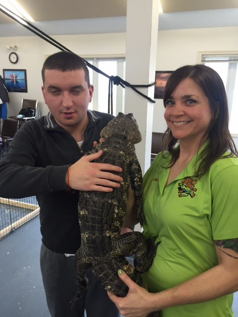 Man and woman holding an alligator